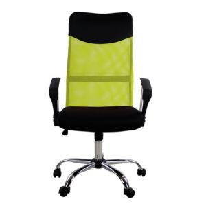 Office chair HM1000.03 Black Green Mesh chromed leg 61x58x118