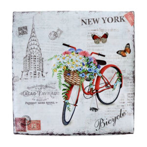 skampo-me-apothikeytiko-choro-hm254-bike-3