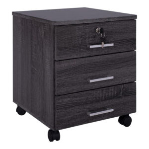 ΣΥΡΤΑΡΙΕΡΑ ΓΡΑΦΕΙΟΥ HAYDEN HM2282.01 ΣΕ ΑΝΘΡΑΚΙ ΧΡΩΜΑ 39×39,5×46,5