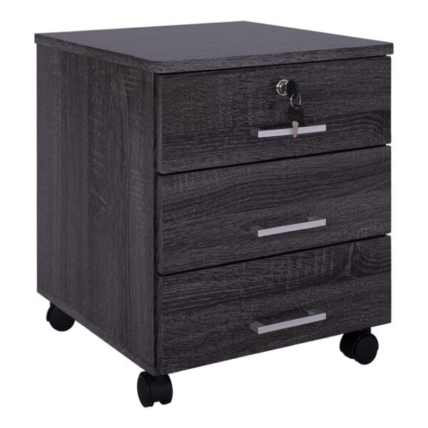 ΣΥΡΤΑΡΙΕΡΑ ΓΡΑΦΕΙΟΥ HAYDEN HM2282.01 ΣΕ ΑΝΘΡΑΚΙ ΧΡΩΜΑ 39×39,5×46,5