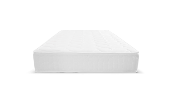 Premium Essential Plus